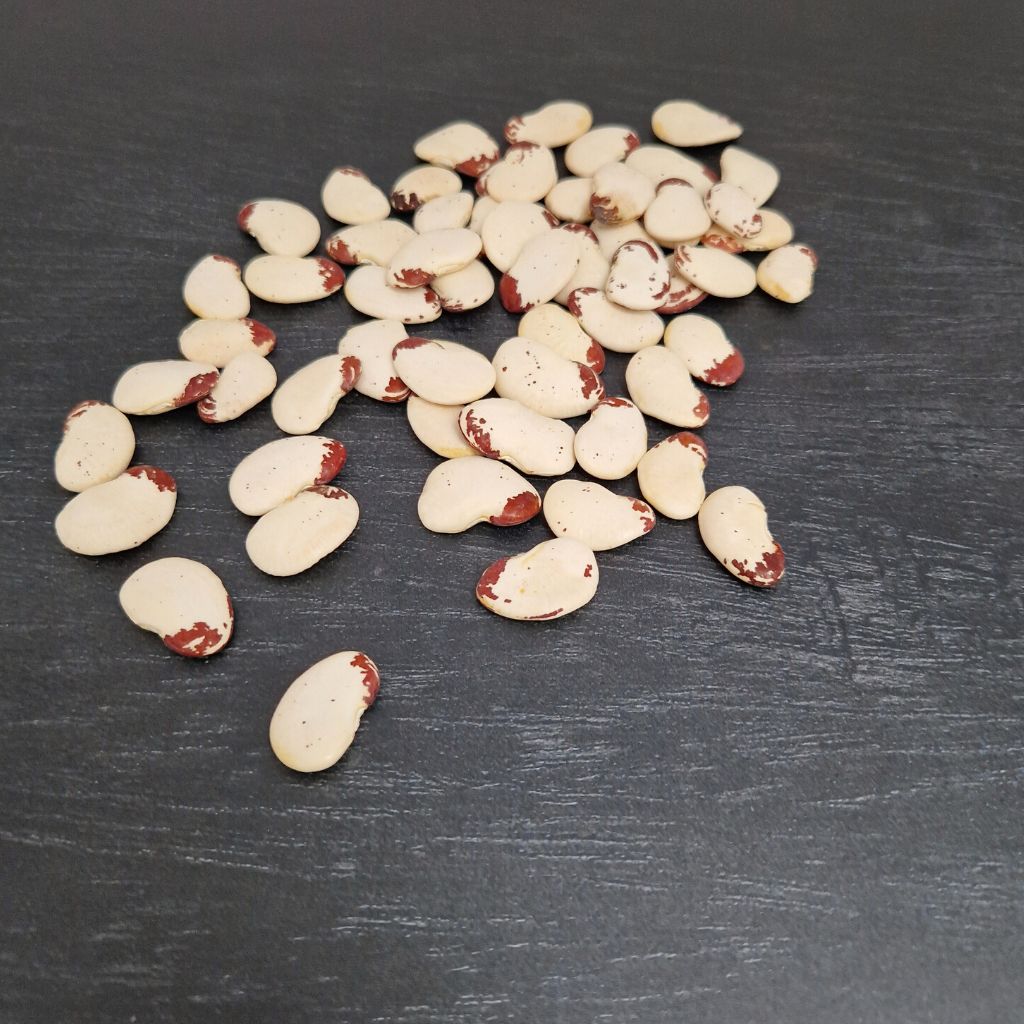 Haricots Garrofon pour Paella
