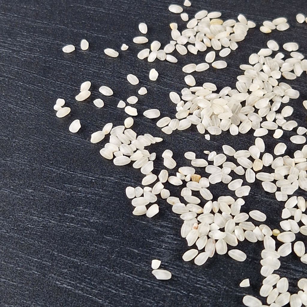 Riz Albufera riz à paella